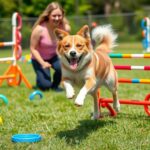 hyperactive dog training strategies