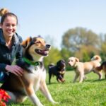 stress free expert approved dog training strategies