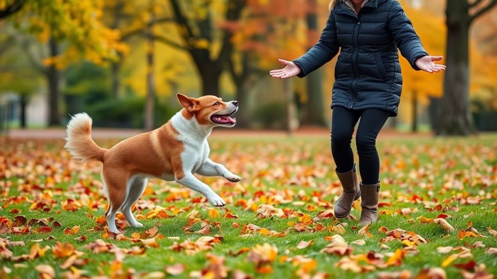 techniques for improving dog s recall